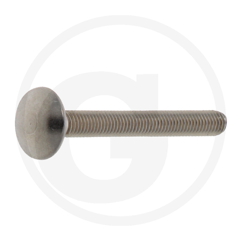 Schlossschraube,DIN603,V2A,M05x045,VE:1